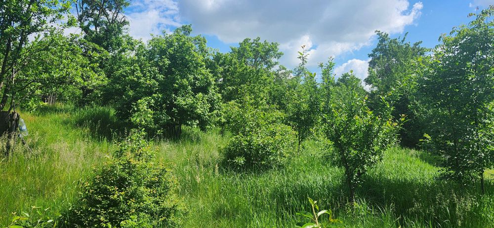 Teren Horodnic de Jos/Colnic cu vedere panoramica catre Radauti/Munti