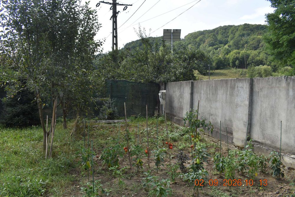 teren intravilan construibil cu foisor