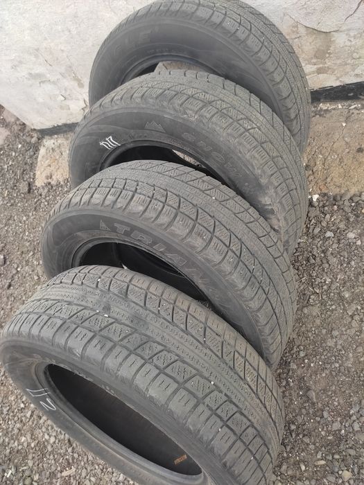 Резина TRIANGLE   snow lion