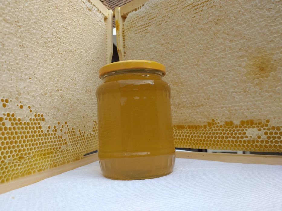 Miere de salcam 40, poliflora 30 si rapita 30 productie propie