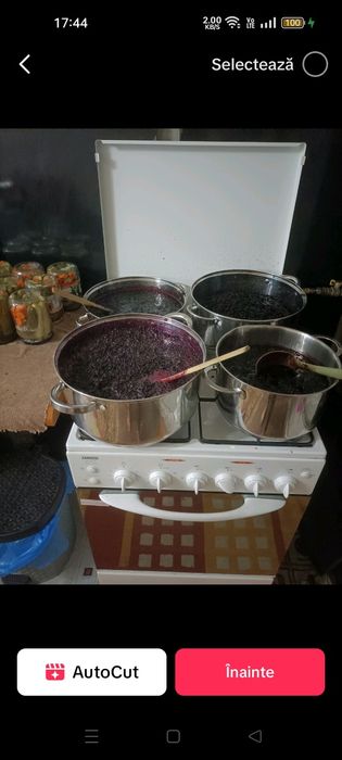 Dulceață cireșe foarte amare șî alte fructe