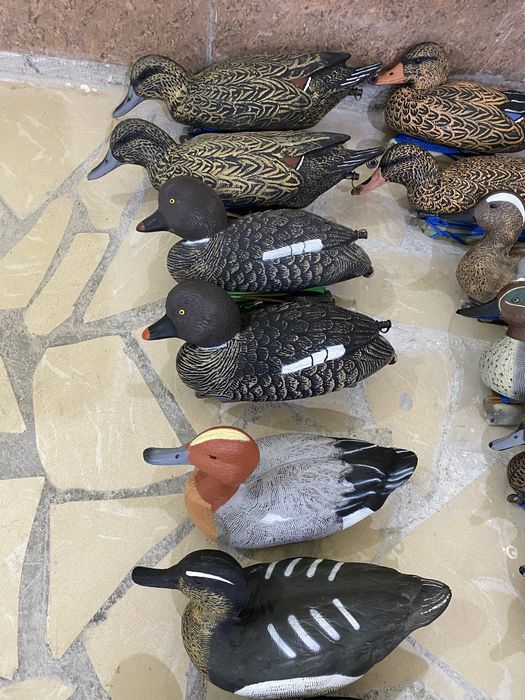 Подсадные утки ,профеля