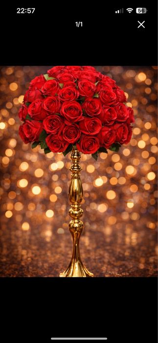 Цветы для любого интерьера в наличии и на заказ