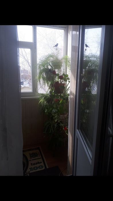 1 ком .кв  12 мик. 3 этаж