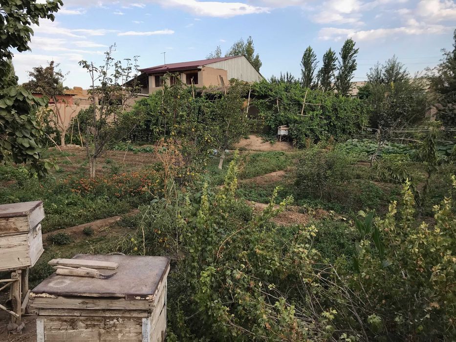 Урганч туманида 16 (10+6) соткали участка сотилади. Нархи келишилади