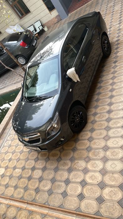 COBALT 2024/25 mokriy Midnight