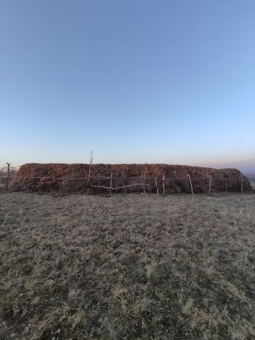 Продам Сено россыпной