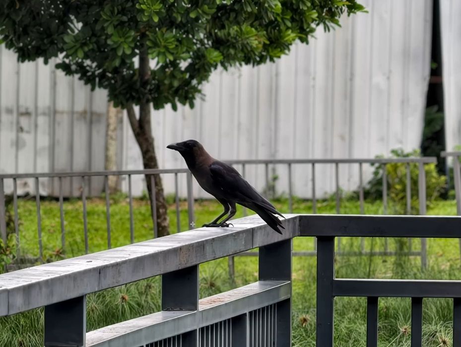 Evenimente//Poze//Fotografii//Servicii//Fotograf