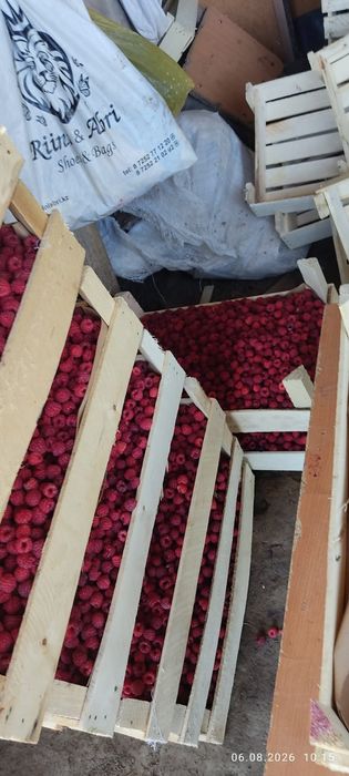 Продам малину свежая с поле
