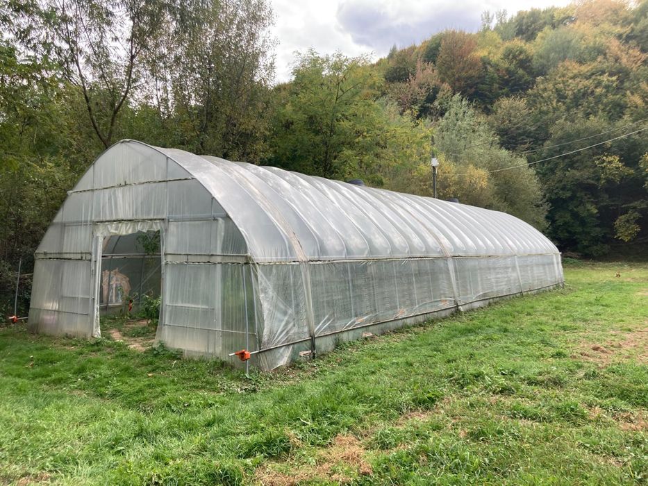 De vanzare teren Telega