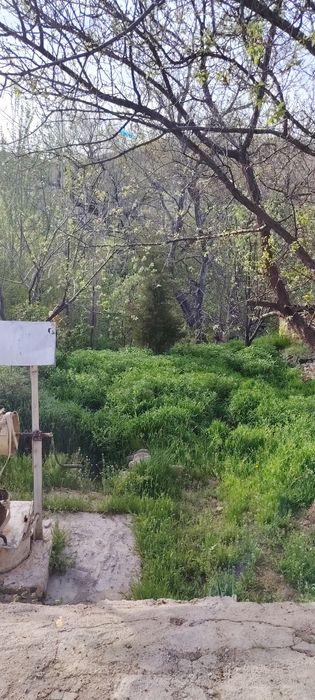 Jizzax viloyati gallaorol tumani qoytosh shaxarchasi