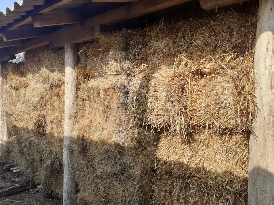 Baloti de fan dreptunghiulari