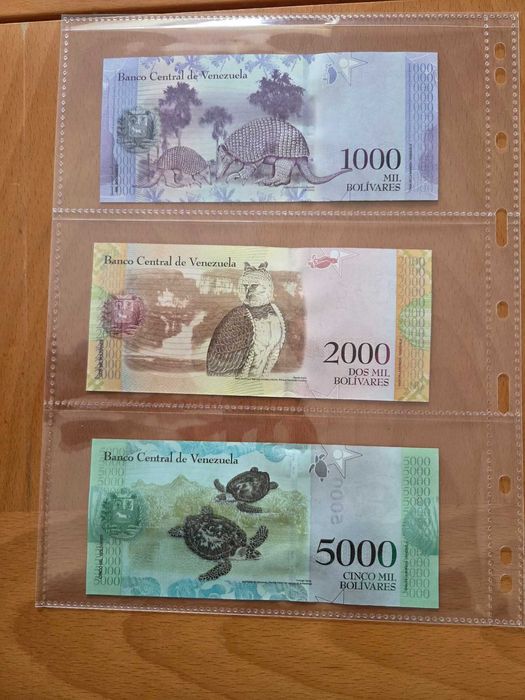 Лот банкноти Венецуела от 2-50000, UNC