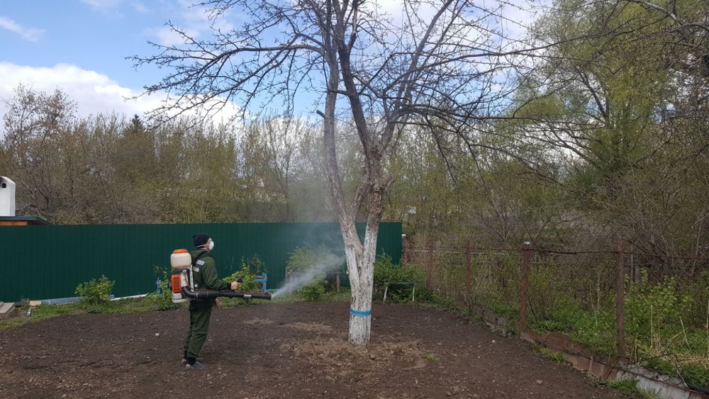 Дарахтларни богларни далаларни дорилаш хизмати