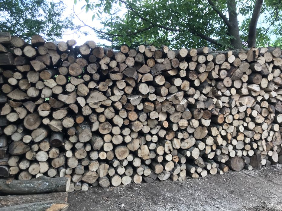 Lemne de foc,fag,taiate la metru sau la dim dorita!