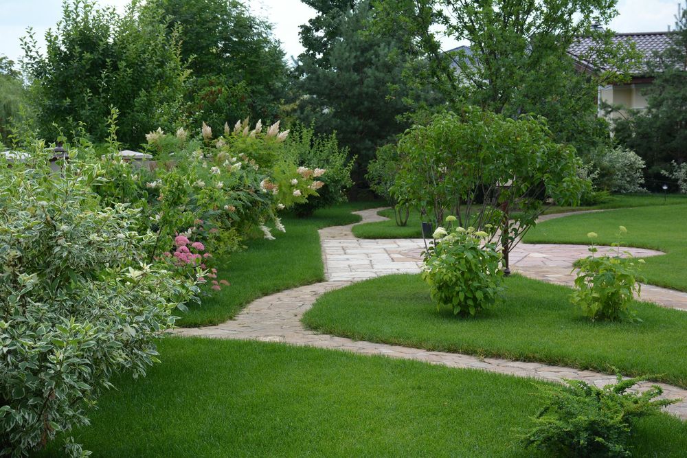 Озеленение | автополив | газон