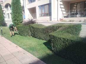 Поддръжка на градини – само абонамент