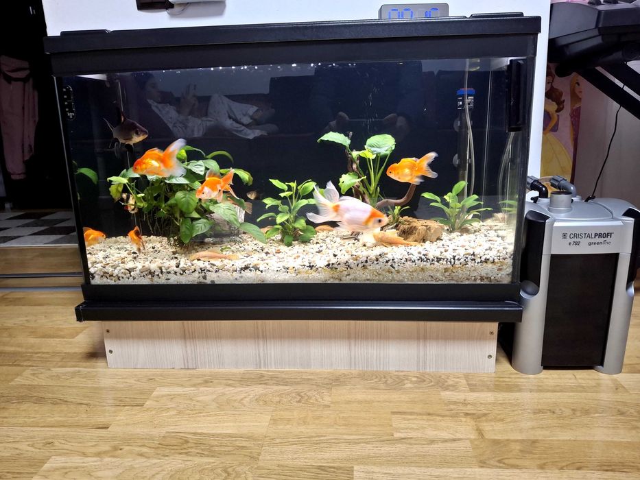 Acvariu de vanzare