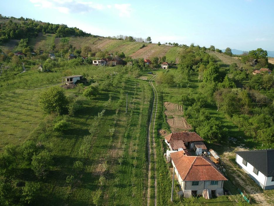 Teren Orasu Nou Vii ,Intravilan 38 Ari , Casa + Livada pomi fructiferi