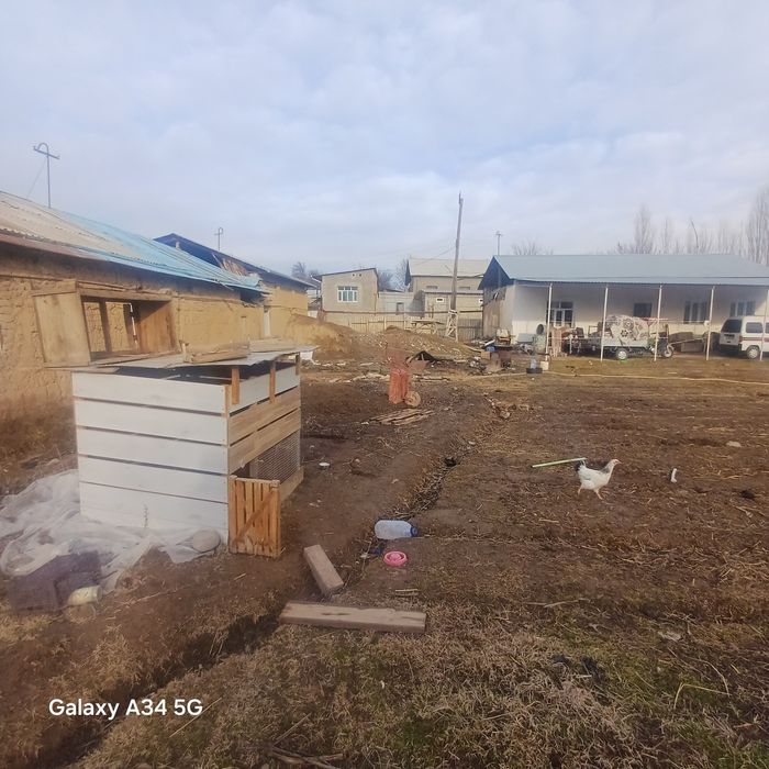 4 сотик ер сотиьади