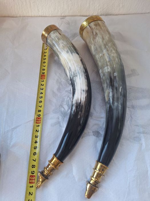 Чаша от естествен рог с бронзов  обков и бронзов  а лъвска глава