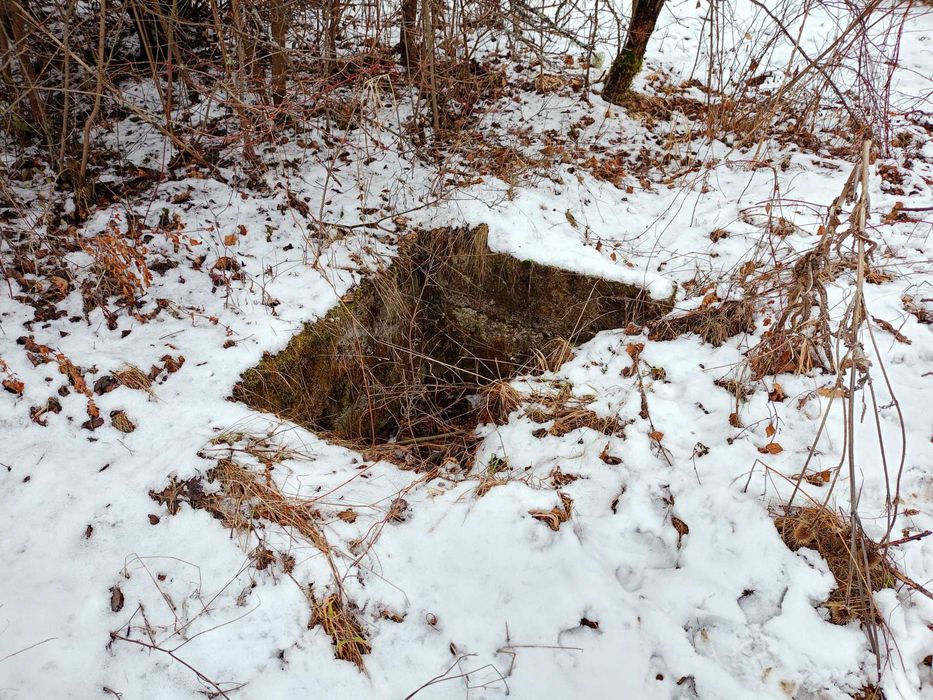 Продава се Парцел в с. Ялботина, Област София-област - 1000 кв.м за 8 €/кв.м - Снимка #2