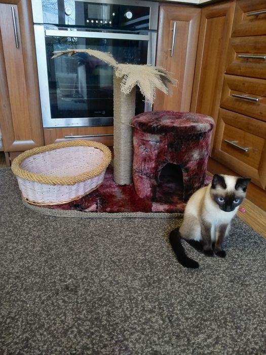 Продам Кошкин дом