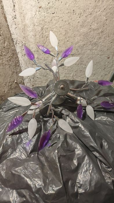 Полилей два броя