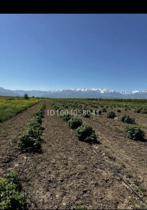 Продам участок К/Х 3.5 га.