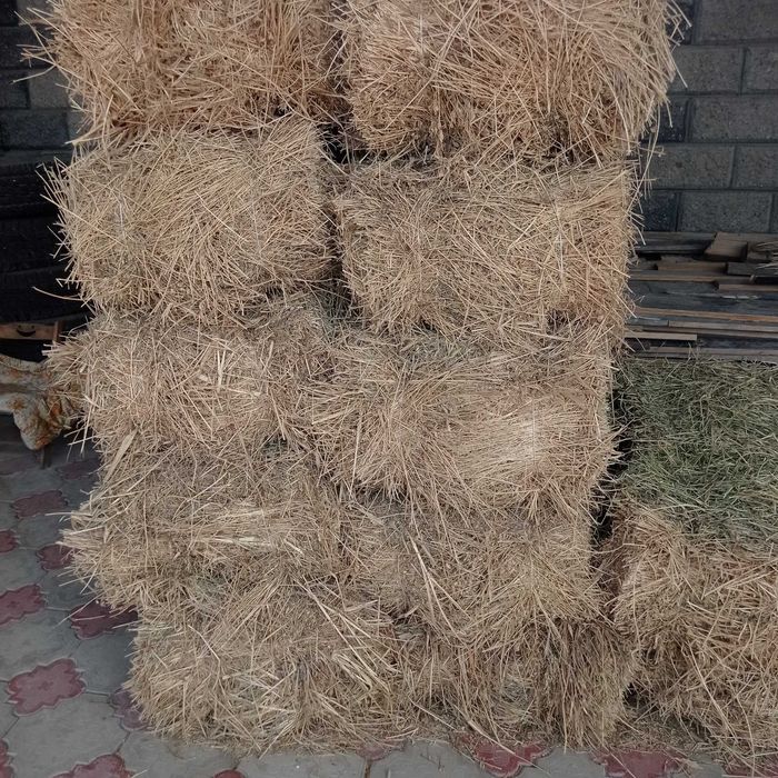 Сено клевер продам