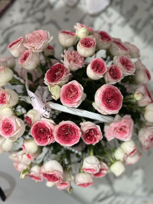 Срочно продам цветы