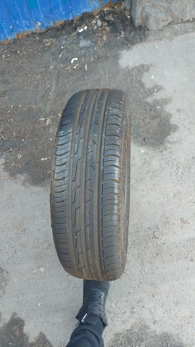 Продам шины летние  отличные