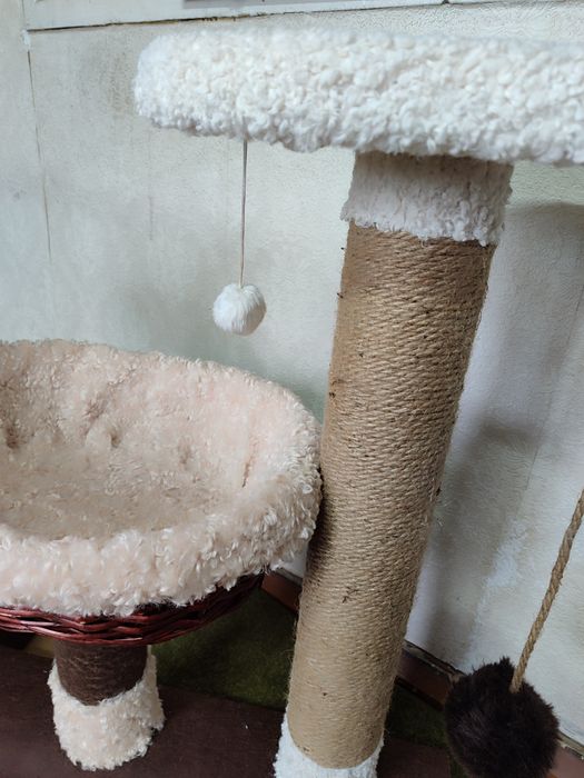 Когтеточка лежанка