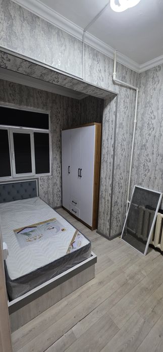 Зенит, Альфарганус 1-этаж!