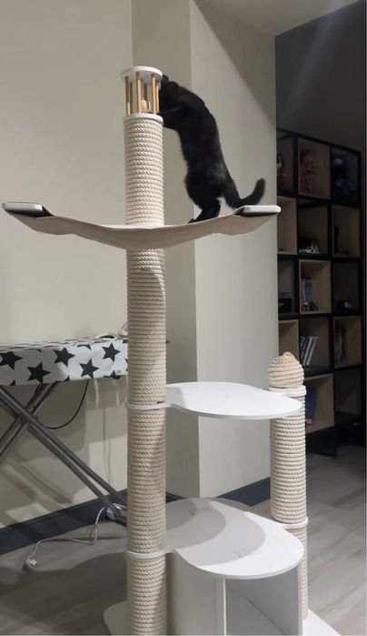Кошечка ищет любящую семью