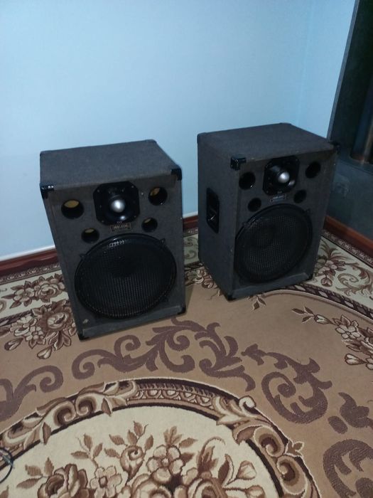 Калонка музыкальный