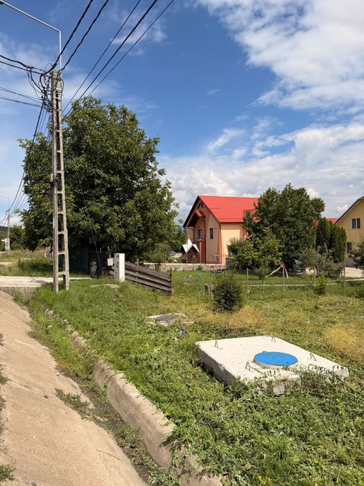 Teren 25 ari Unirea