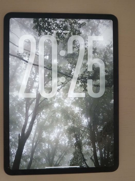 Ipad pro 11 M2 4 поколения