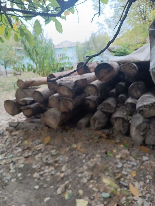 Терак -> Брёвна продается для стройки