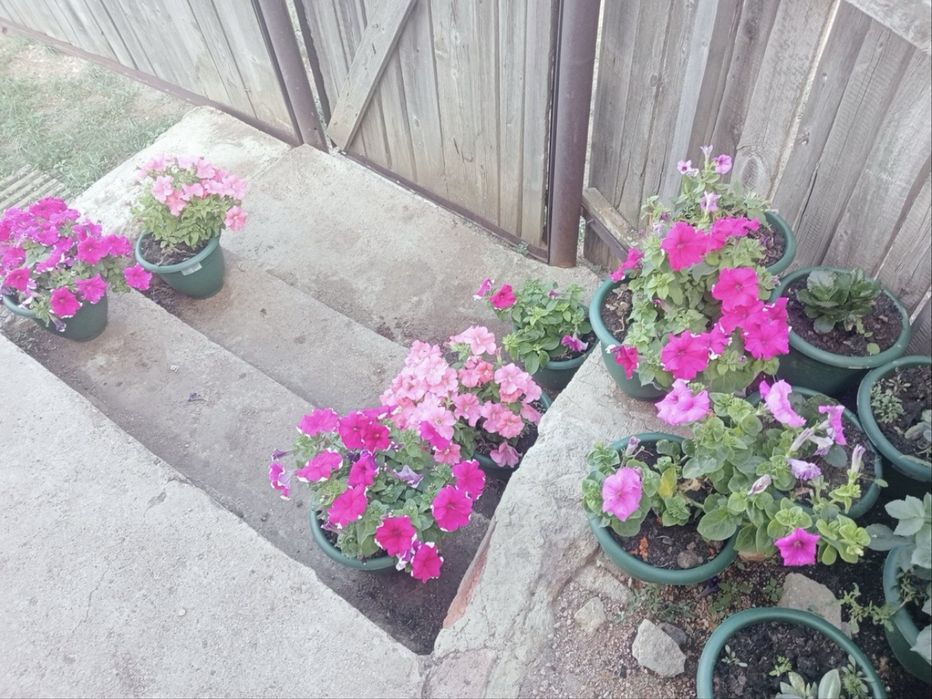 Продам дачу на Вавилова