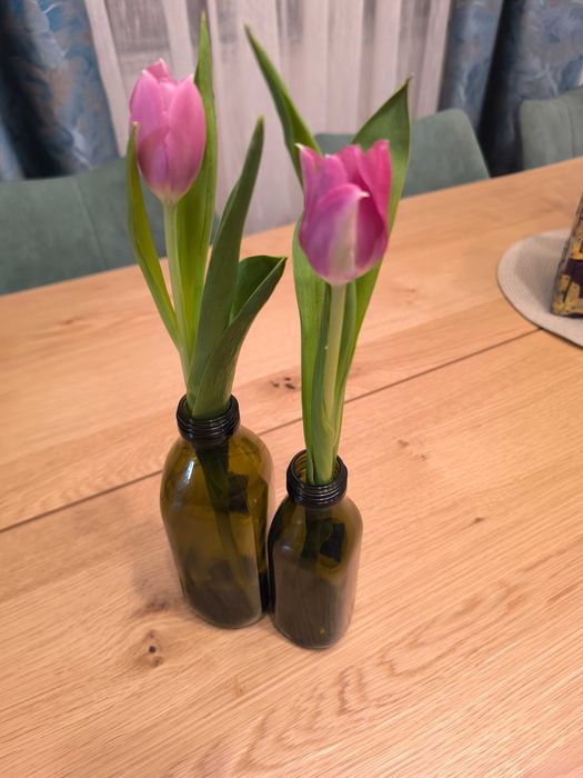 Set de 2 sticle vechi, nuanță olive