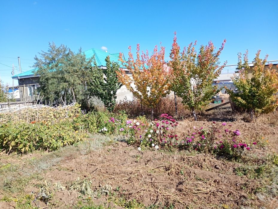 Продам дом в Курайли