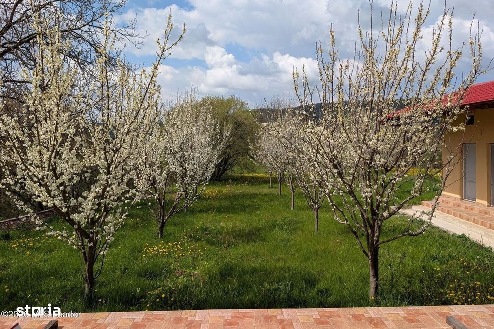 Arges | Valea Mare-Bratia | Vila veritabila 276 mp in zona pitoreasca