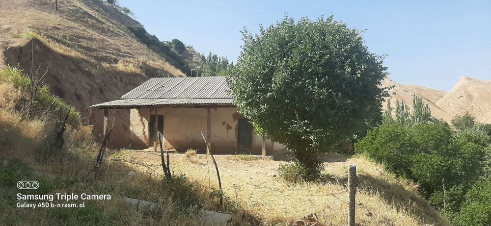 Oltinsoy tuman Sohibkor mahallasida 3 x dalahovli sotiladi kadastr bor