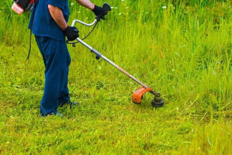 Шөп орамыз Тримермен