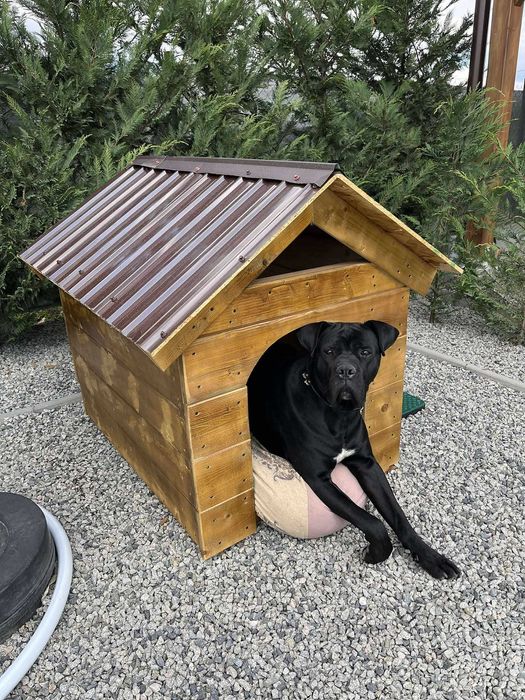 Mobilier de grădină