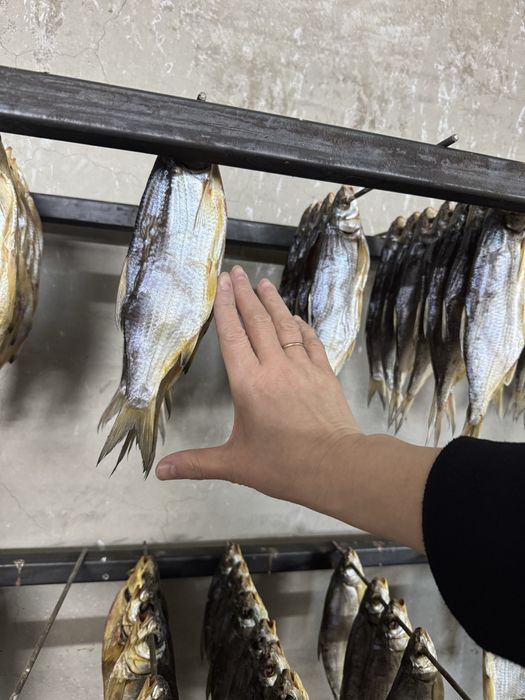 Рыбец сушеный жирный