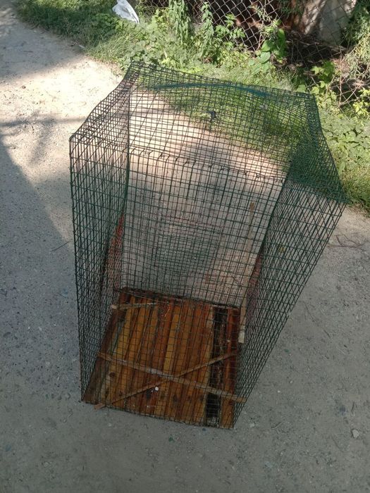 Клетки для птиц.