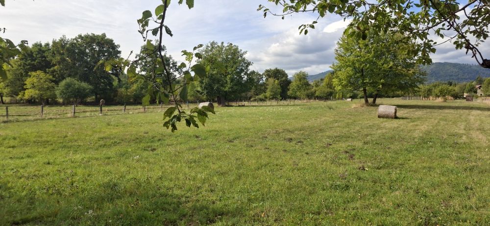 Teren de vanzare intravilan Bistra Muresului 4915 mp