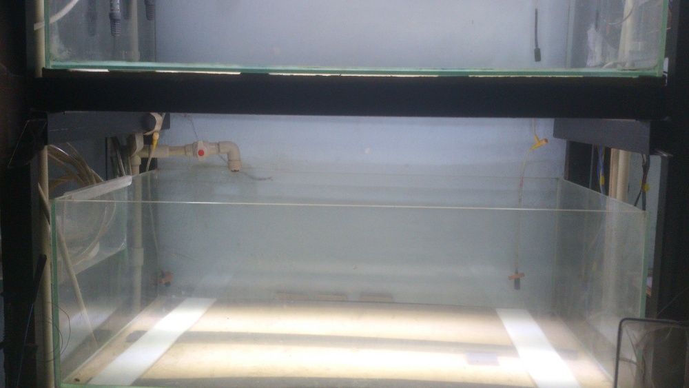 аквариум 135 литров